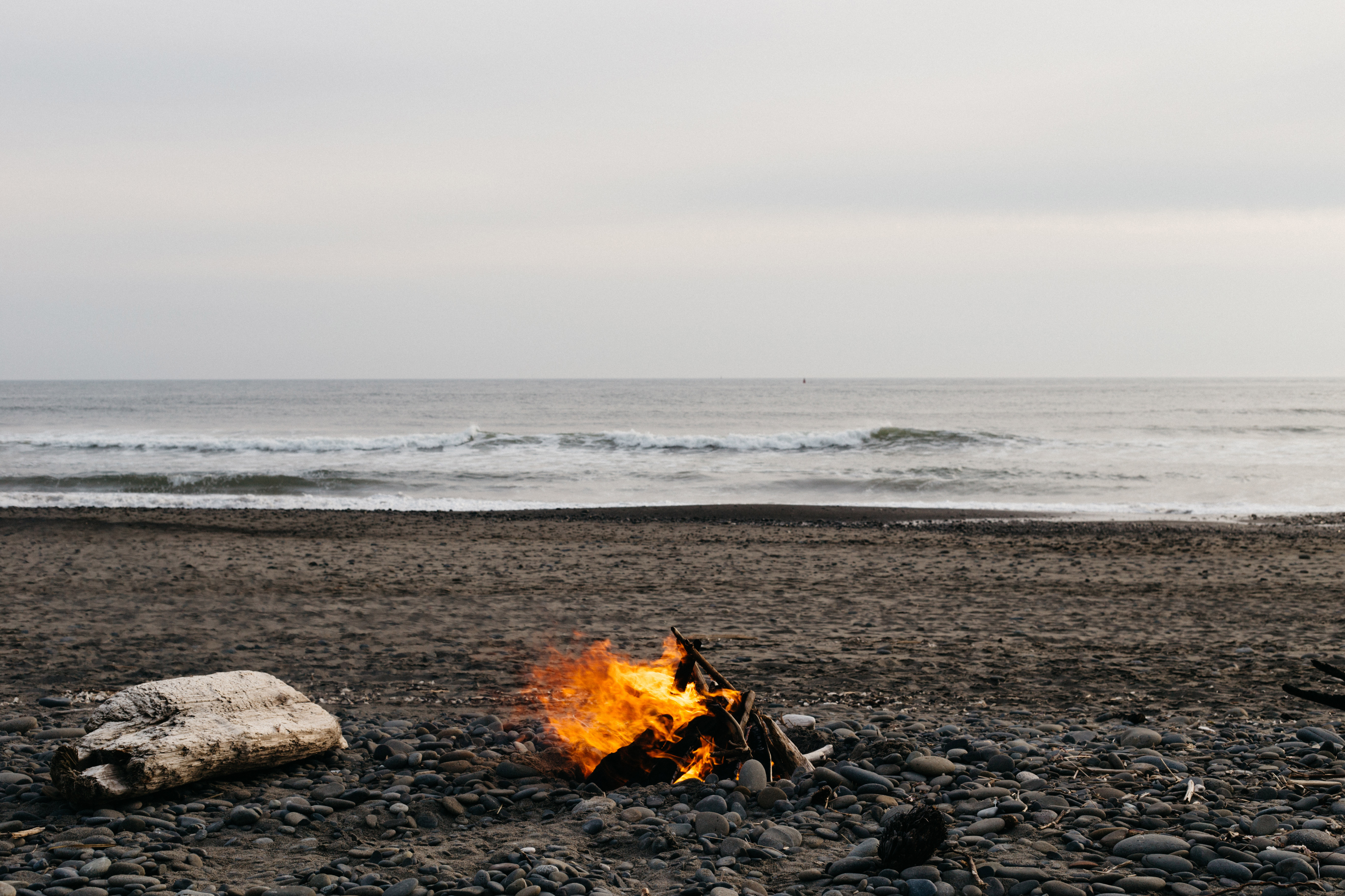 encinitas commercial landscape maintenance 